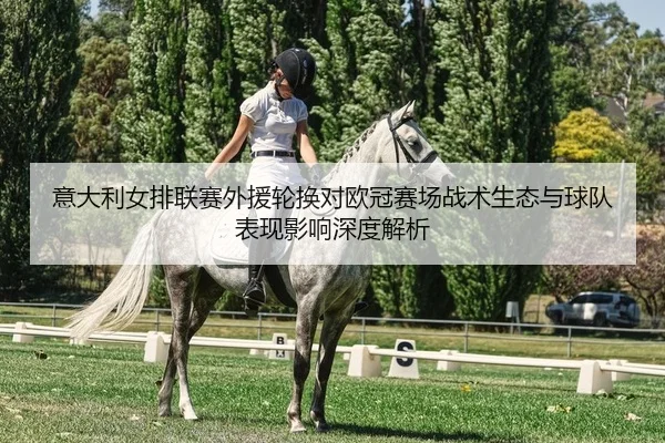意大利女排联赛外援轮换对欧冠赛场战术生态与球队表现影响深度解析 | Leyu
